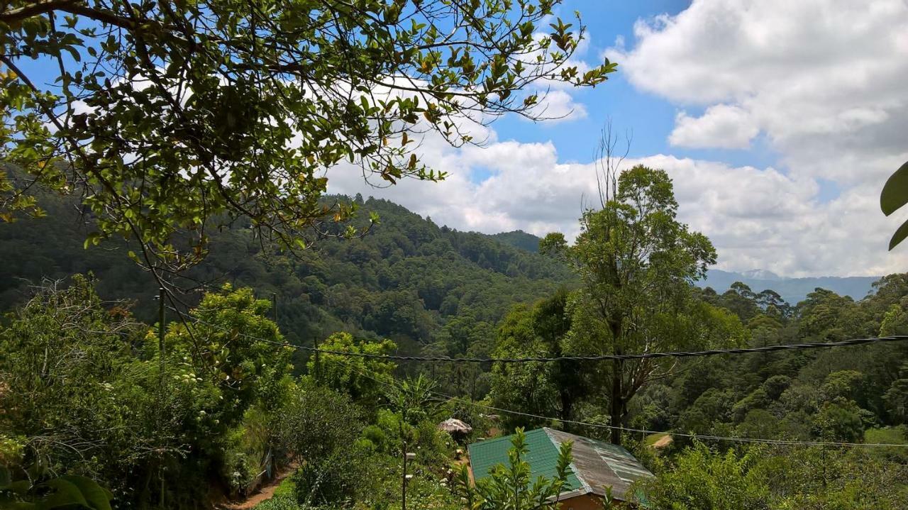 Green View Bungalow Hotel Ohiya Exterior photo